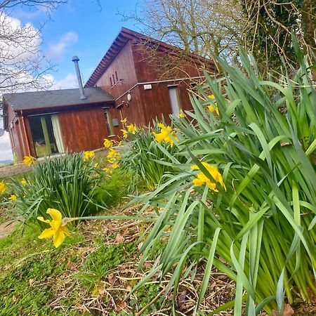 Ballyhoura Mountain Lodges Ballyorgan Dış mekan fotoğraf