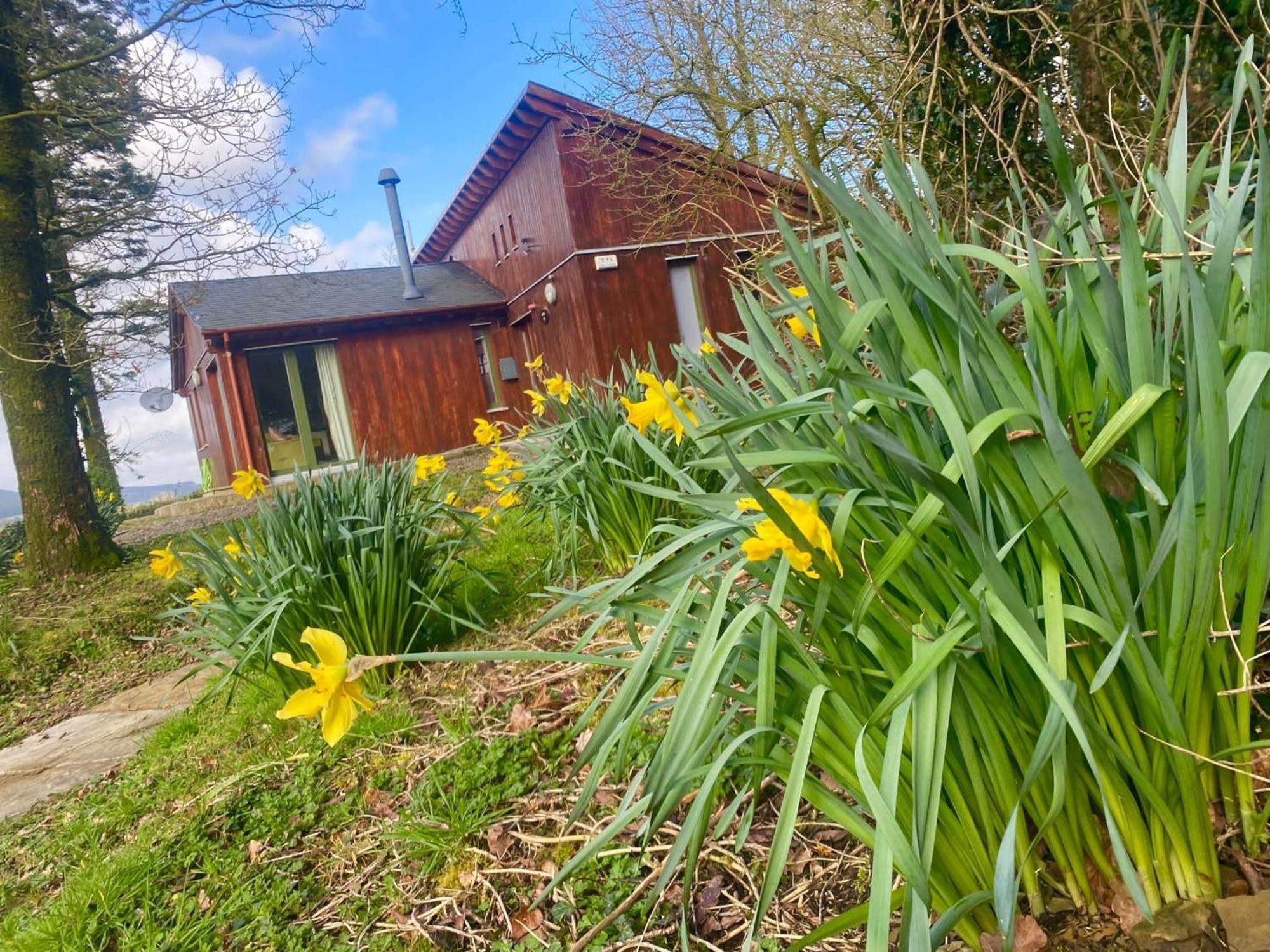 Ballyhoura Mountain Lodges Ballyorgan Dış mekan fotoğraf
