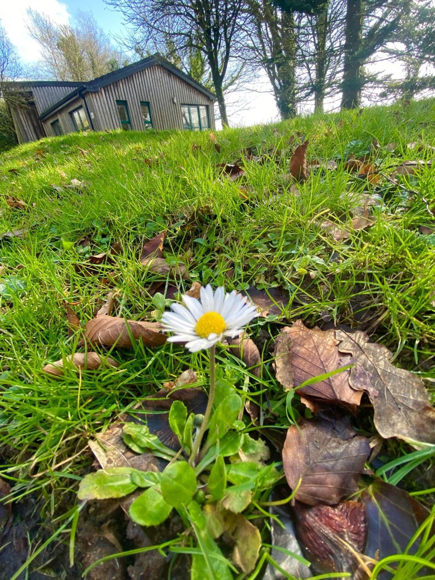 Ballyhoura Mountain Lodges Ballyorgan Dış mekan fotoğraf