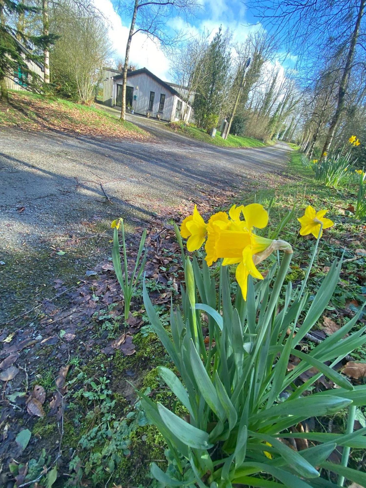Ballyhoura Mountain Lodges Ballyorgan Dış mekan fotoğraf